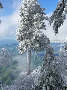 吉林长白山风景区（吉林长白山风景区天气预报）