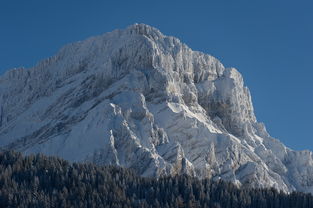 新疆雪岭云杉天山北坡（jk制服裙子多长）