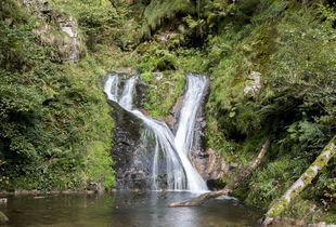 千岛湖一日游怎么玩(杭州千岛湖好玩吗千岛湖一日游的最佳路线)